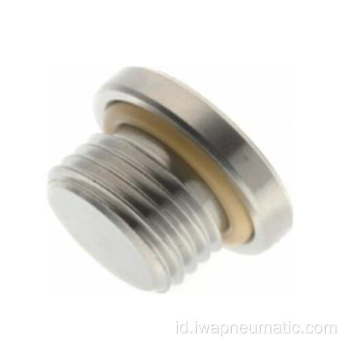 Stainless steel bundar hex plug